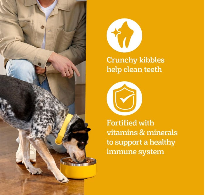 🐾Pedigree Adult Dry Dog Food, Complete Nutrition, Grilled Steak & Vegetable Flavor, 18 lb. Bag🐾