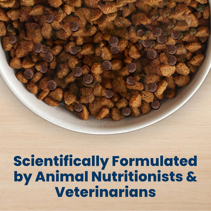 🐾Blue Buffalo Life Protection Formula Chicken & Brown Rice Adult Dry Dog Food, Supports Immunity with Antioxidant-Rich LifeSource Bits, Promotes Healthy Muscle Development, Skin & Coat Health, 5 lbs.🐾