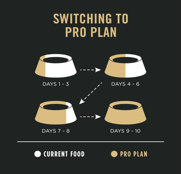 🐾Purina Pro Plan Sensitive Skin and Stomach Dog Food Dry, Adult Salmon & Rice Formula, Digestive Health - 30 lb. Bag🐾
