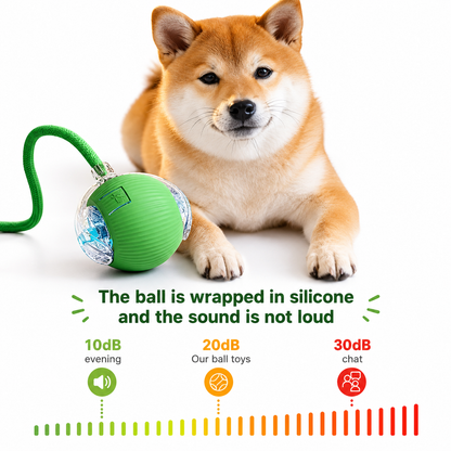🐾Waoo Waoo ZoomBall – Smart Rolling Interactive Cat Ball Toy🐾