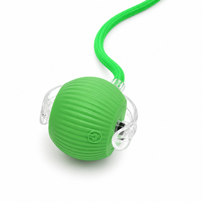 🐾Waoo Waoo ZoomBall – Smart Rolling Interactive Cat Ball Toy🐾