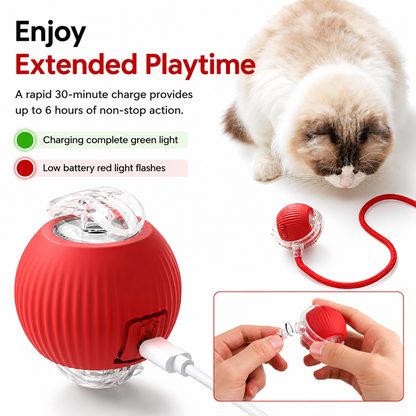 🐾Waoo Waoo ZoomBall – Smart Rolling Interactive Cat Ball Toy🐾