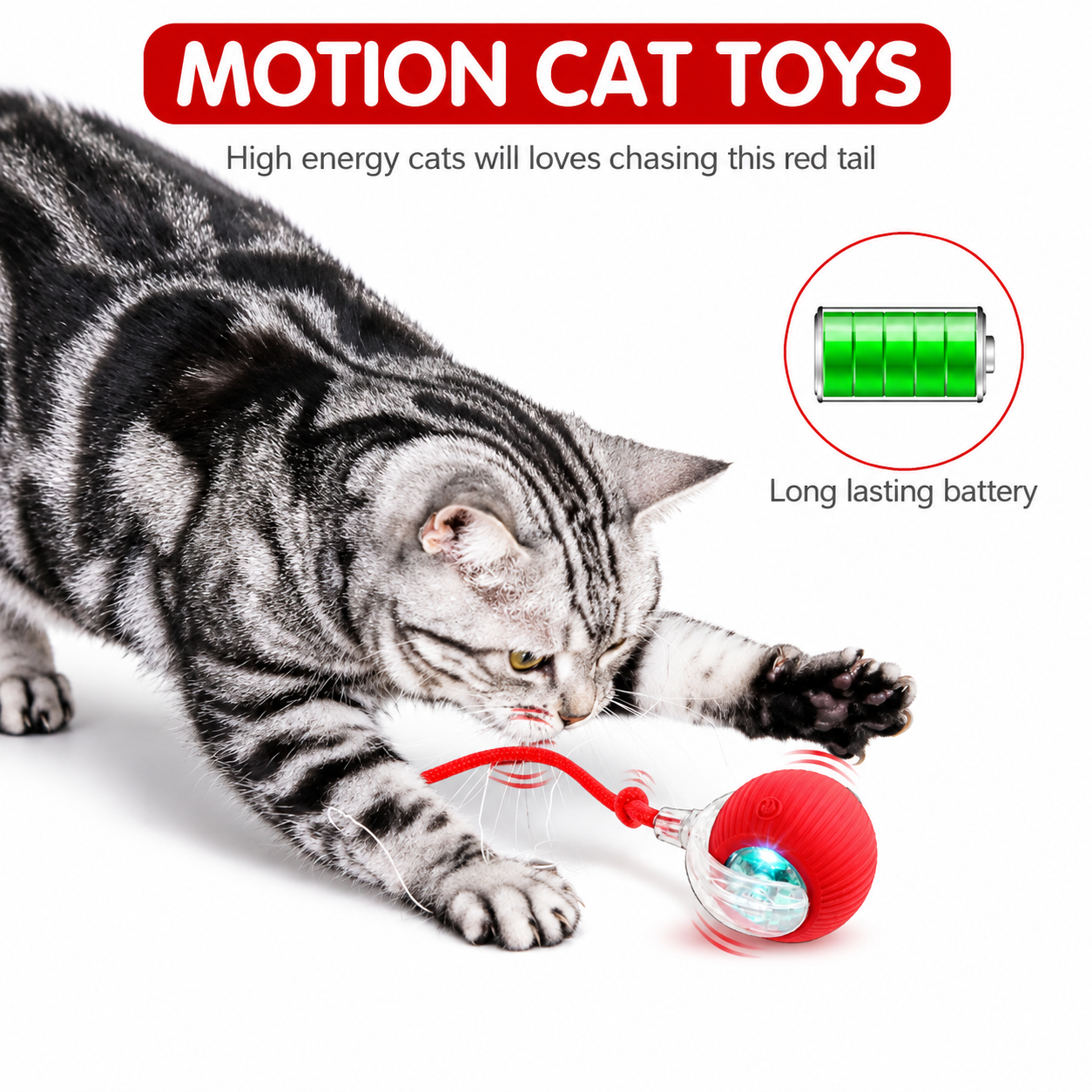 🐾Waoo Waoo ZoomBall – Smart Rolling Interactive Cat Ball Toy🐾