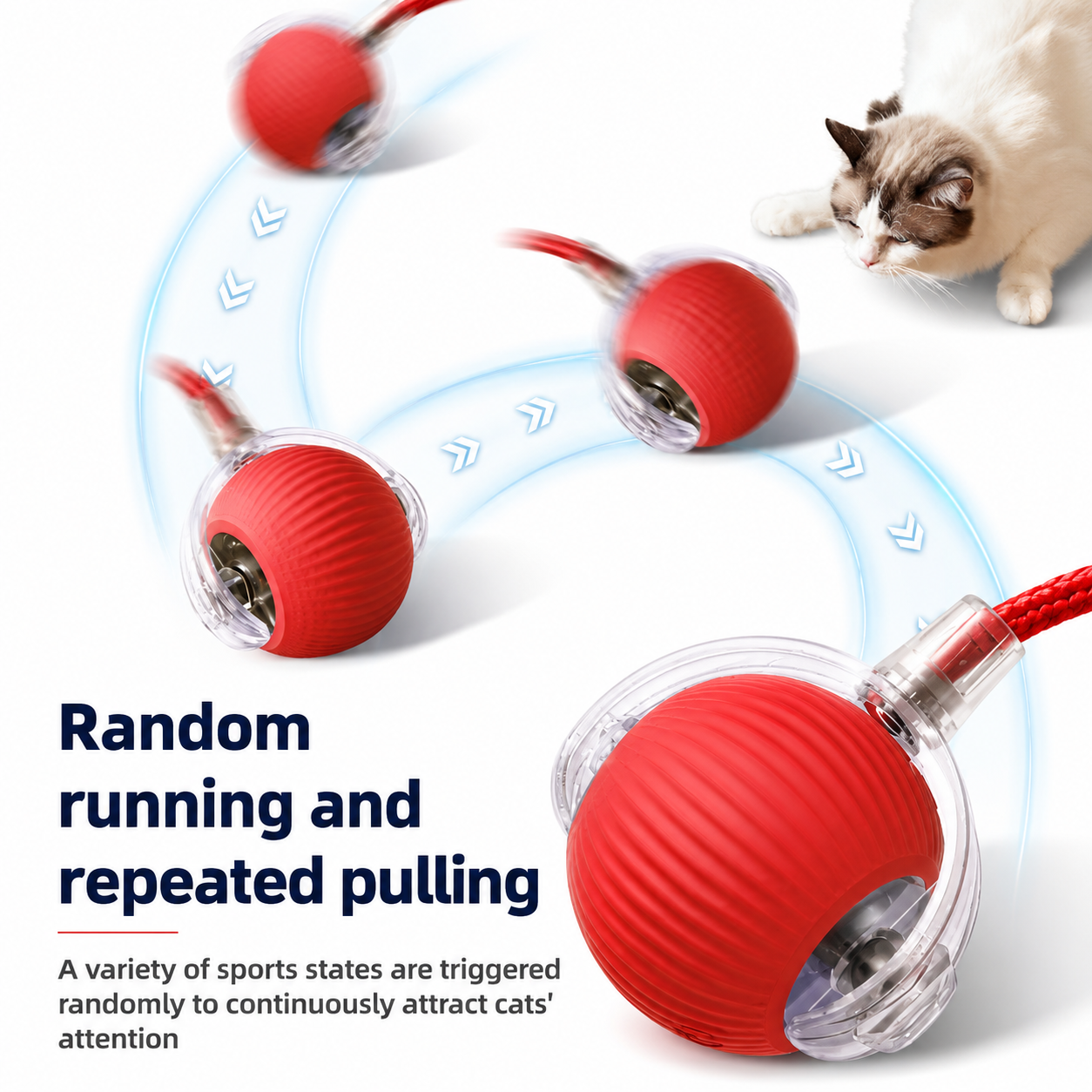 🐾Waoo Waoo ZoomBall – Smart Rolling Interactive Cat Ball Toy🐾