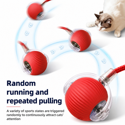 🐾Waoo Waoo ZoomBall – Smart Rolling Interactive Cat Ball Toy🐾