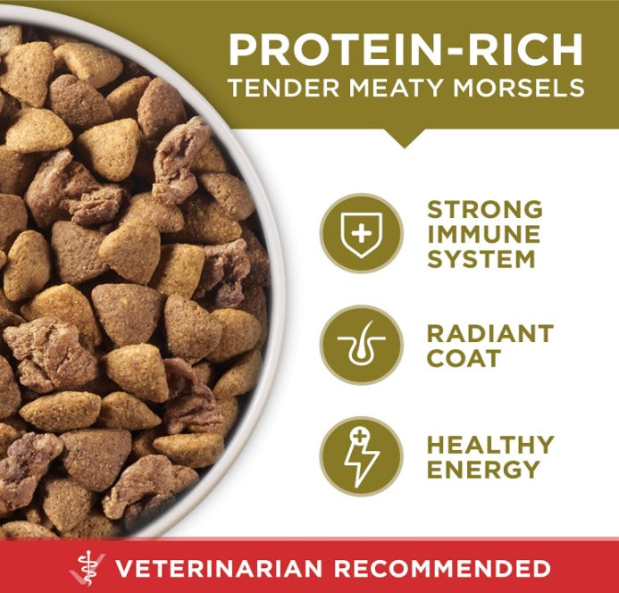 🐾Purina ONE Dry Dog Food Lamb and Rice Formula - (Pack of 4) 4 lb. Bags🐾