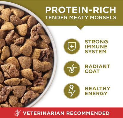 🐾Purina ONE Dry Dog Food Lamb and Rice Formula - (Pack of 4) 4 lb. Bags🐾