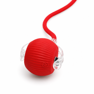 🐾Waoo Waoo ZoomBall – Smart Rolling Interactive Cat Ball Toy🐾