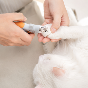 🐾Waoo Waoo ClearCut – LED Light Pet Nail Clippers🐾
