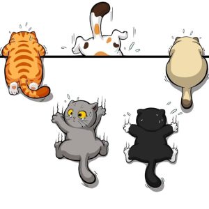 cats